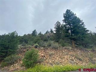 123 Timberline Trail, South Fork, CO, 81154