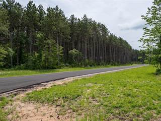 Lot 2 TWO SISTERS COURT, Stevens Point, WI, 54482
