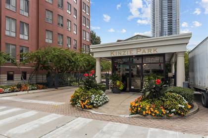 Picture of 484 N Canal Street, Chicago, IL, 60654