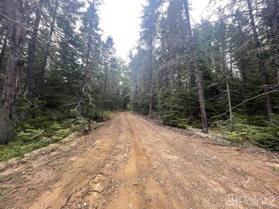 2.61 ACRES SOUTH CAINS RIVER RD, NB - photo 10 of 12