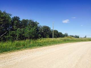 Vacant Land for sale in CHRYPKO Road, Winnipeg, Manitoba, R2N4E3