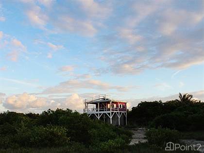 Residential Property for sale in Purple Eco House Off-Grid Treetop Home with Sea and Wildlife Views, Caye Caulker, Belize