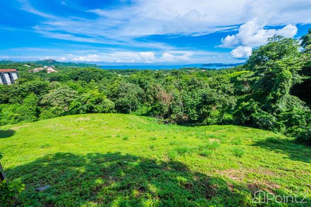 Cocobolo Lot 5, Most Affordable Ocean View Lot in Reserva Conchal with Approved Blueprints - photo 12 of 54