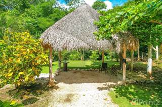 Four Orchids Property, Playas Del Coco, Guanacaste