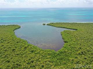 Other Real Estate for sale in 10 Acres on Middle Long Caye| Near the Barrier Reef, Cayes, Belize