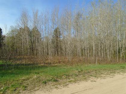 Lots And Land for sale in LOTS 18, 19 Reynard Drive, Mio, MI, 48647
