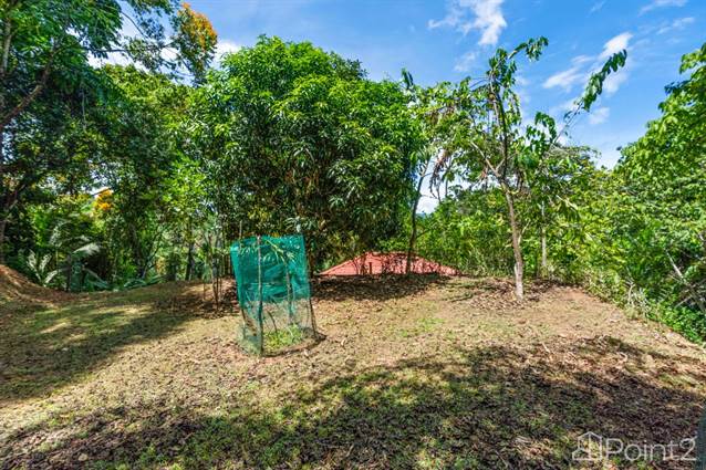 Finca Aracari – Your Natural Zen Awaits - 9.17 Acres, Puntarenas