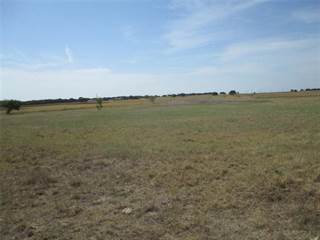 Tr 2 County Line Road, Bowie, TX, 76230