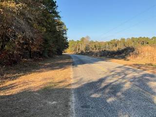 476 Old Hwy 39 (McGruder Rd), Fort Gaines, GA, 39851