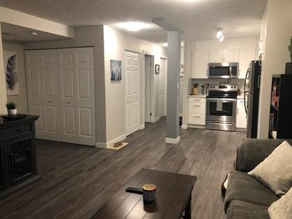1 Bedroom Apartments For In, Is It Bad To Have A Bedroom In The Basement Apartment Calgary