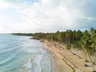 Lot 5 (Premium) Baoba Beach Resort, Cabrera, Maria Trinidad Sanchez