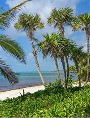 Ocean View Condo Steps to the Beach Tankah Bay, Tulum, Quintana Roo