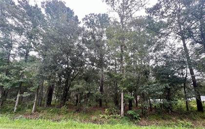 Picture of Lot 2 PHILIPS MANOR PLACE, Fernandina Beach, FL, 32034