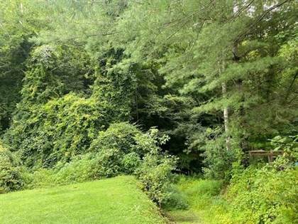 0 Old Wiley Branch Road, Paintsville, KY, 41240