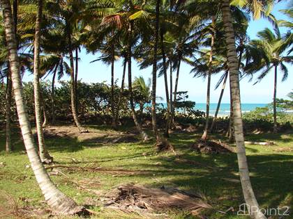 Beachfront land 13, 5 acres available -20min from Cabarete, Sabaneta De Yasica, Puerto Plata