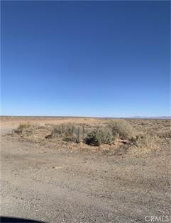 Picture of 0 hollinger RD & Two Mils RD, Joshua Tree, CA, 92252