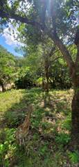 Affordable Lot 5 Mins Drive to Beach, Tamarindo, Guanacaste