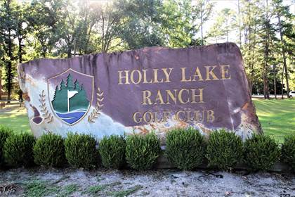 235 Cherrywood Lane, Holly Lake Ranch, TX, 75765