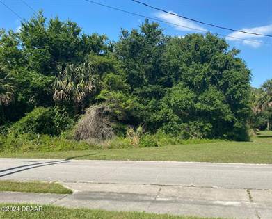 Picture of 273 Flamingo Road, Oak Hill, FL, 32759