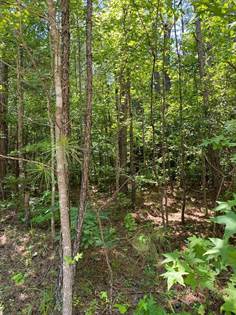 Picture of Lot 161 Jamesway Dr., Sparta, GA, 31087