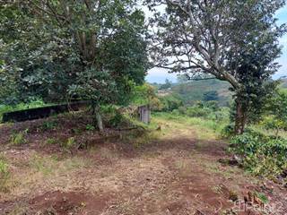 Property with excellent views and location, with potential for development of residential project., Sarchi, Alajuela