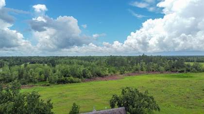 Picture of County Road 355, Mayo, FL, 32066