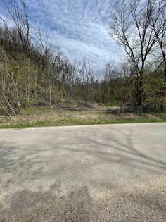 Picture of 0 Miners Creek, Guttenberg, IA, 52052