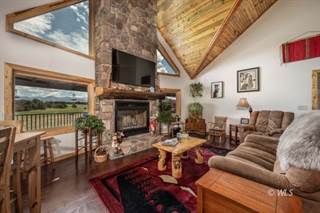1463 Pronghorn Path, Cotopaxi, CO, 81223