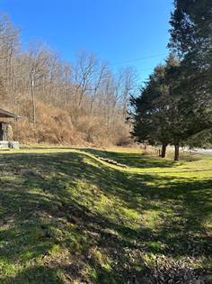 Picture of 0 Craft Creek Road, Salyersville, KY, 41465