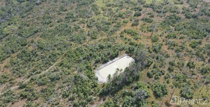 Farm For Sale at 3 Miles from More Tomorrow, Cayo, Belize | Point2