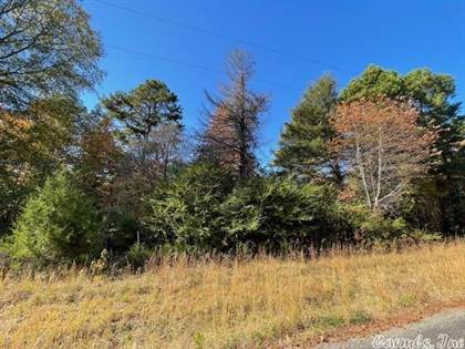 Tract 8 Wilderness Road, Greenbrier, AR, 72058