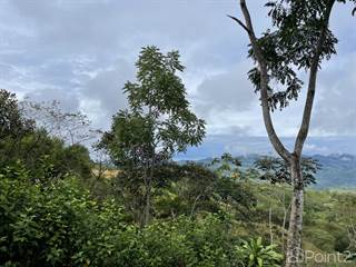 Ocean View Mountain Paradise in Tinamastes, Barú, Puntarenas