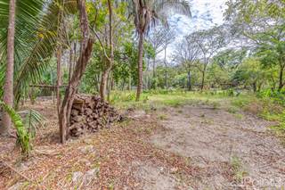 Large Private K Section Property, Near Bodhi Tree & 10 min Walk to Beach, Nicoya Peninsula, Guanacaste