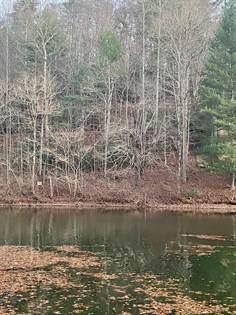 Picture of Lot 5 The Landings 5, Robbinsville, NC, 28771