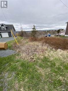 129A English Hill Road, Carbonear, NL - photo 2 of 4