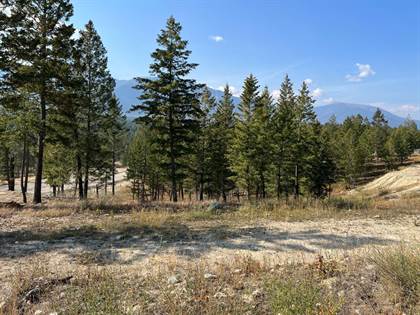 2612 LAKEVIEW RISE, Invermere, British Columbia, V0A1K4
