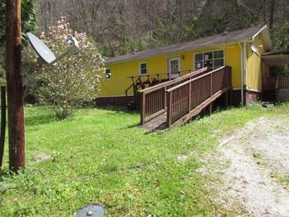 Residential Property for sale in 941 Darb Fork Hollow, Bulan, KY, 41722