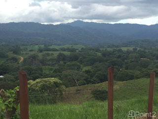 Orotina 245 hectares, 5.5 k from the new proposed Airport in Orotina, Orotina, Alajuela