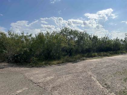 Lot 35 Eagle St Lot 35, Eagle Loop, Falcon Heights Tx, 78545, Falcon Heights, TX, 78545