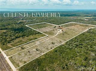 Farm And Agriculture for sale in Consejo Ranch, Consejo Area, Corozal District