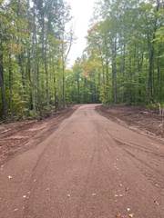 0 County Hwy C - Lot 4, Couderay, WI, 54828
