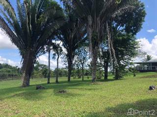 Beauitful 10 Acres with House| Cayo District, Camalote Village, Cayo