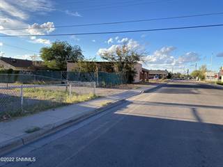 550 S Manzanita Street, Las Cruces, NM, 88001