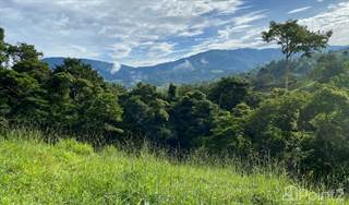 35 ACRES – Creek Running Through Property, Spectacular Valley Views And Gently Sloped Hills!!!, Platanillo, Puntarenas