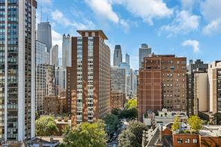 1400 N State Parkway 12F, Chicago, IL, 60610
