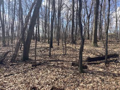 Lots And Land for sale in CRYSTAL SPRINGS ST Street, Dowagiac, MI, 49047