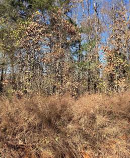 Picture of Lot 4 White Horse Mountain Rd, Hardy, AR, 72542
