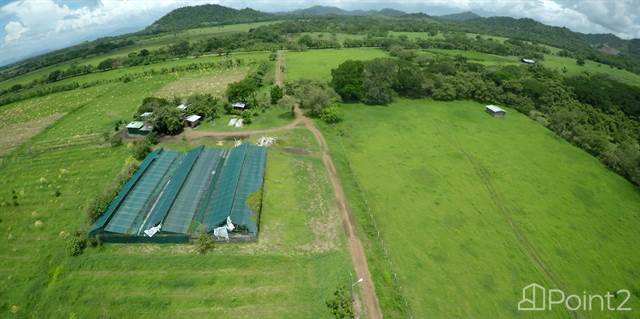 73 hectare farm     Guanacaste, Costa Rica