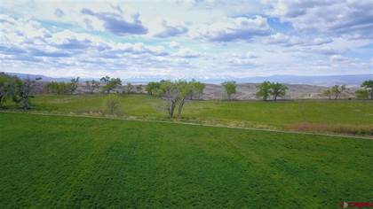Picture of 360 Acres Hwy 50 Road, Montrose, CO, 81401