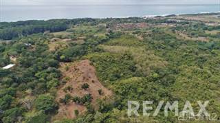 Ocean View | 10 Acres | Near the beach | Fruit trees | Creek / Spring Water, Garabito, Puntarenas